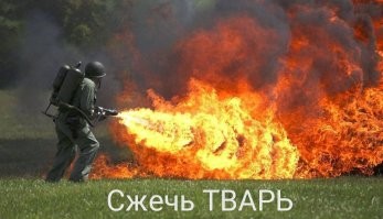 Почему в Арктике так много комаров? Три причины превращают Север в рай для кровососов