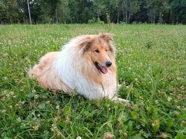 Так точно. Единственная в городе на 85 тыс. населения.