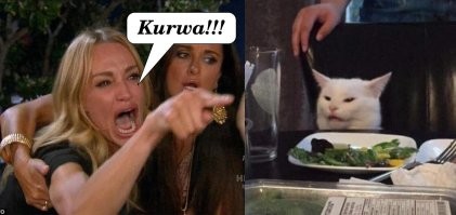 В Польше заявили, что кошки это чужеродные животные для их страны