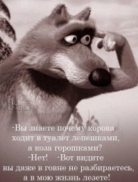 По эту сторону воды