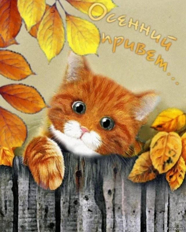 С добрым утром