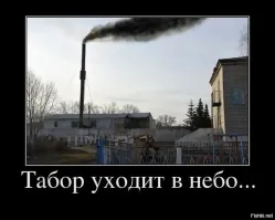 "Не стыдно, пацаны?": в Белгородской области задержали группу цыган, собиравших гумпомощь и деньги под видом участников подразделения "Ахмат"