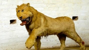 Грипсхольмский лев