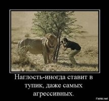 Намешалось