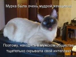 Намешалось
