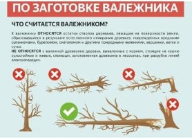 В России ожидается новая волна повышения цен на топливо