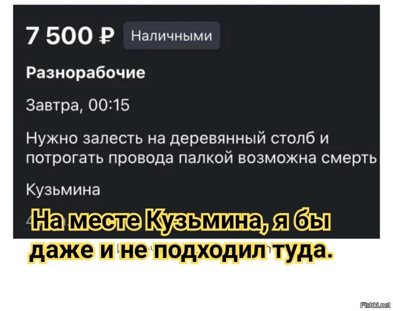 Нелепые объявления на Авито, которые привлекают внимание