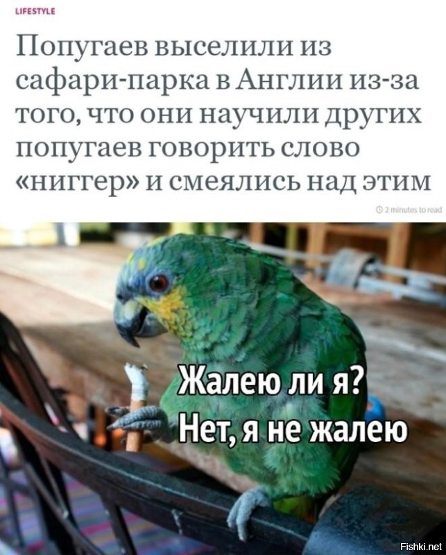 Скрины из соцсетей&nbsp;&nbsp;&nbsp;&nbsp;&nbsp;&nbsp;&nbsp;&nbsp;&nbsp;&nbsp;&nbsp;&nbsp;