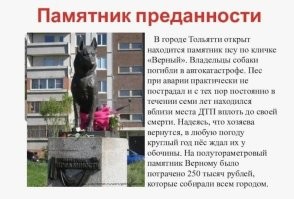 А про наших питомцев  религия не позволяет написать? Ну да, у янок интересней - толи умер, толи мимо проходил