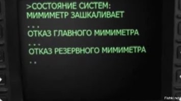 20 котеек, которые решили поиграть с бантиком и очаровали всех грацией