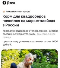 Не ищите здесь смысл. Здесь в основном маразм