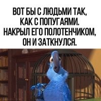 Политический мониторинг (466)