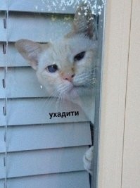 Скрины из соцсетей&nbsp;&nbsp;&nbsp;&nbsp;&nbsp;&nbsp;&nbsp;&nbsp;&nbsp;&nbsp;&nbsp;&nbsp;