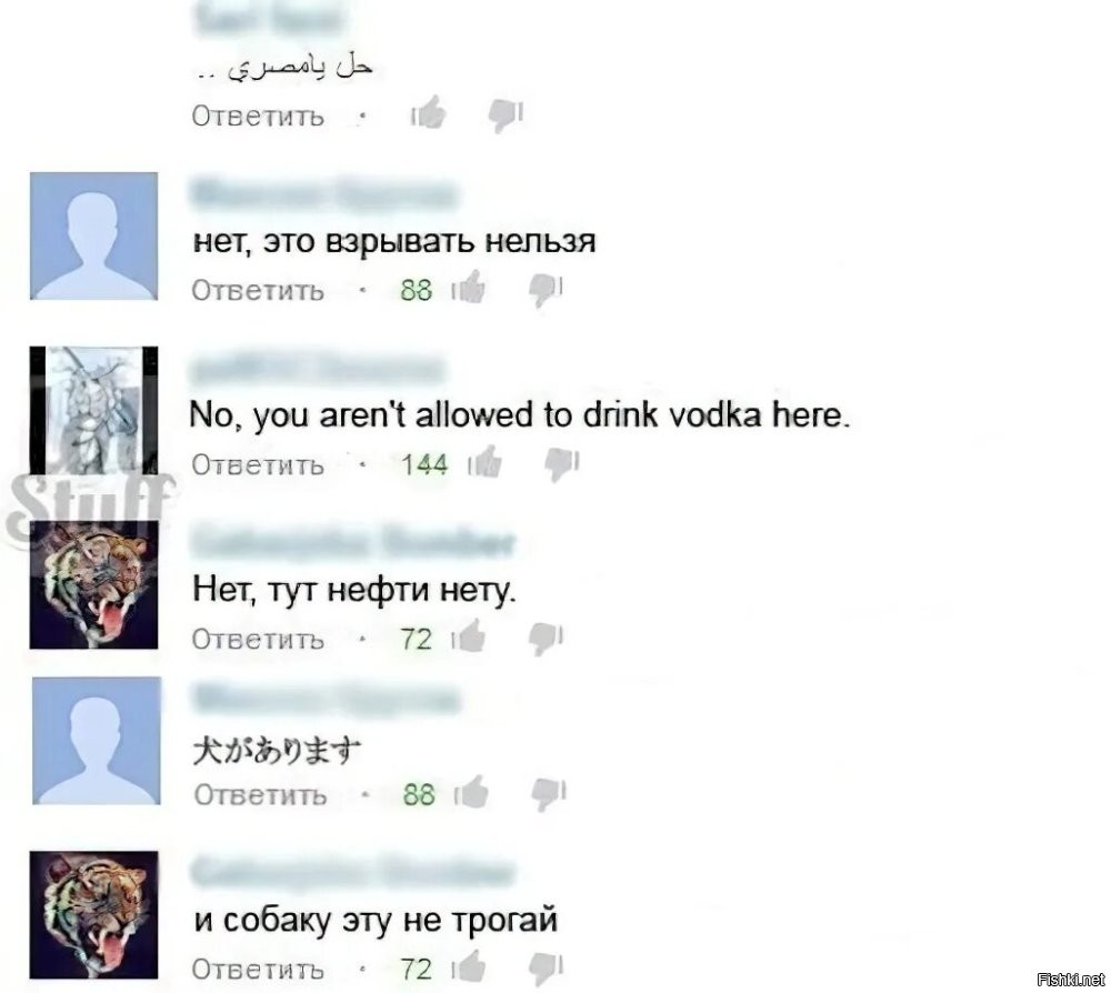 Солянка от 04.10.2024