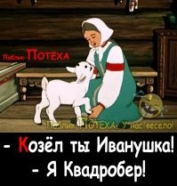 "Это для какого вида?": на маркетплейсах появился корм для квадроберов