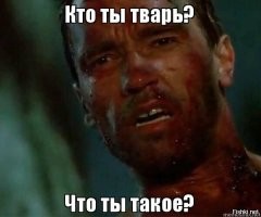 "Это для какого вида?": на маркетплейсах появился корм для квадроберов