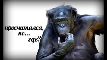 Весёлый китаец зрелищно подорвал петарду в автомобиле