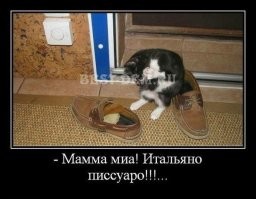 Надо кошку на лестничную клетку выпускать.