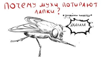 Это уже седьмой на моей улице!