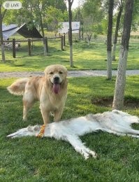 Никакого фотошопа, абсолютно реальный снимок.