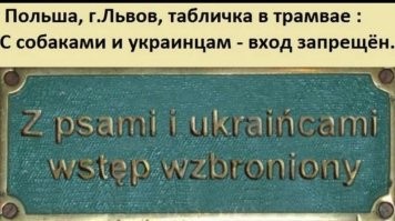 Политический мониторинг (467)