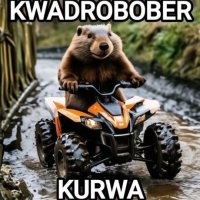 В продаже на маркетплейсах появились домики для квадроберов