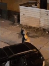 Просто гифки, всякие и&nbsp;разные