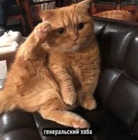Идеальное совпадение в игре
