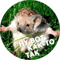 33  факта, о которых вы не сможете забыть