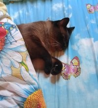 Утро задалось
