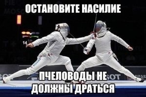 Российские учёные бьют тревогу! Совсем скоро мы можем остаться без мёда из-за вторжения узбекских пчёл