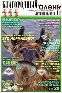 Олений гон — это безумие: рассмотрим подробно весь градус сумасшествия