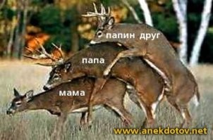Демотиваторы для всех!