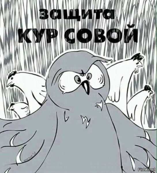 Солянка от 08.10.2024