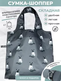 Хо! Пакет! Сопляки. Вот чё завсегда в сумке (и не ихний шоппер, а наша авосечка):