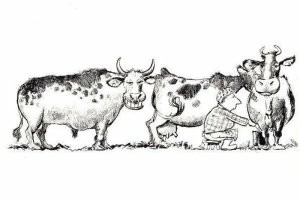 Всё вразнобой&nbsp;