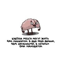 Чиво? То-есть, если я вдруг помру, клетки моего мозга будут жить ещё 50+ лет?