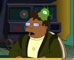 30 необычных и абсурдных головных уборов