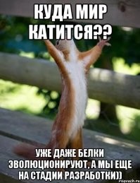 В подмосковной клинике квадроберу отказали в вакцинации и чипировании
