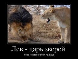 &nbsp;Намешалось&nbsp;