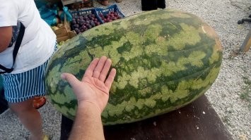 А это Анапский район