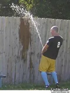 Солянка от 10.10.2024