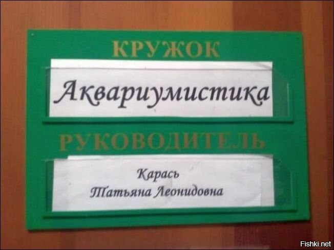 Как Вы яхту назовёте, так она и поплывёт