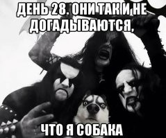 45 милейших фото из самого доброго уголка интернета