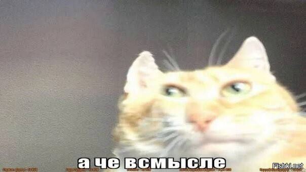 Скрины из соцсетей&nbsp;&nbsp;&nbsp;&nbsp;&nbsp;&nbsp;&nbsp;&nbsp;&nbsp;&nbsp;&nbsp;&nbsp;