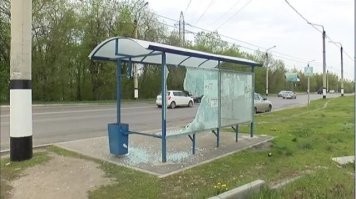 Недавно на СВАРЗе собрали 5000-й остановочный павильон. А всего в городе их более 8,5 тысяч. И это не предел.
**********************
а потом наблюдаем такую "картину маслом": детишки "порезвились" или "синяки"