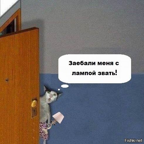 ..."А чего кота то не зовёте, а?.."