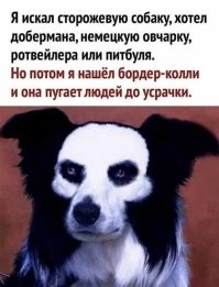 45 милейших фото из самого доброго уголка интернета