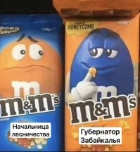 Губернатор Забайкалья извинился перед главой лесничества, о которую вытер руку