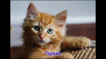 Пятничный алкогольный юмор
